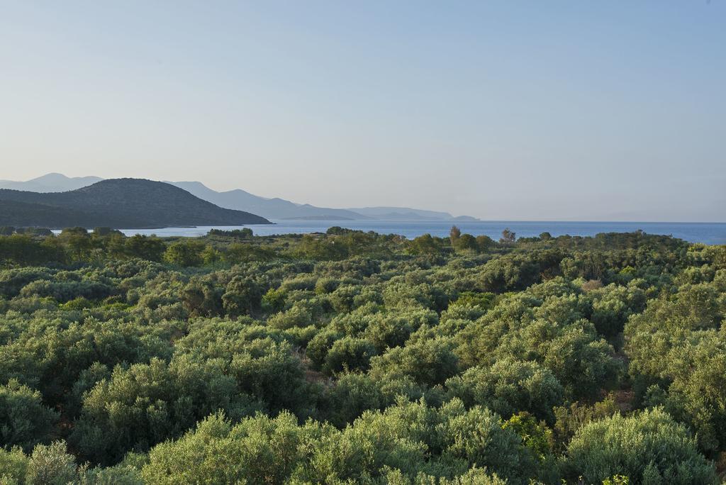 Istron Maisonettes With Private Pool Екстер'єр фото